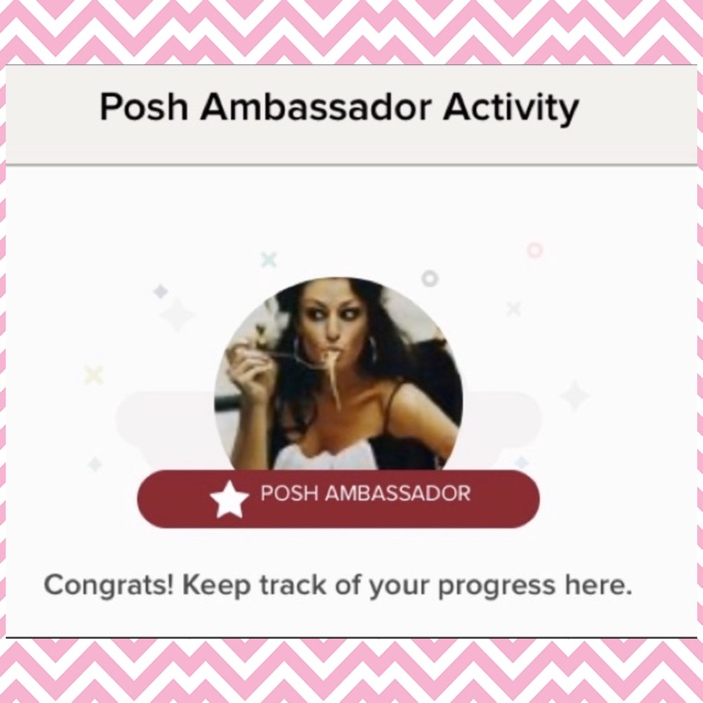 Posh Ambassador